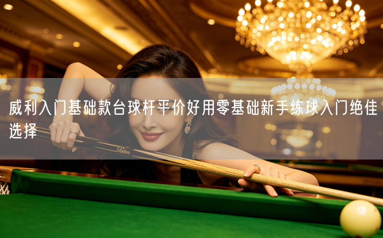 威利入门基础款台球杆平价好用零基础新手练球入门绝佳选择