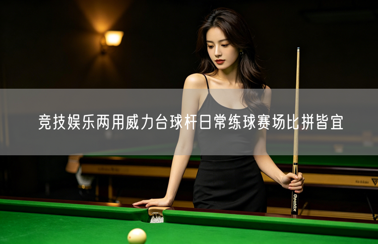 竞技娱乐两用威力台球杆日常练球赛场比拼皆宜