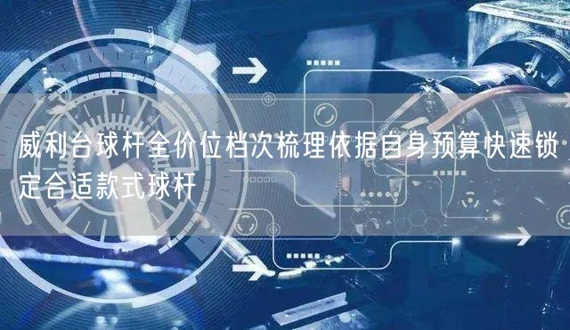 威利台球杆全价位档次梳理依据自身预算快速锁定合适款式球杆