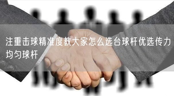注重击球精准度教大家怎么选台球杆优选传力均匀球杆