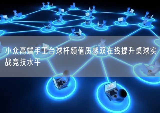 小众高端手工台球杆颜值质感双在线提升桌球实战竞技水平