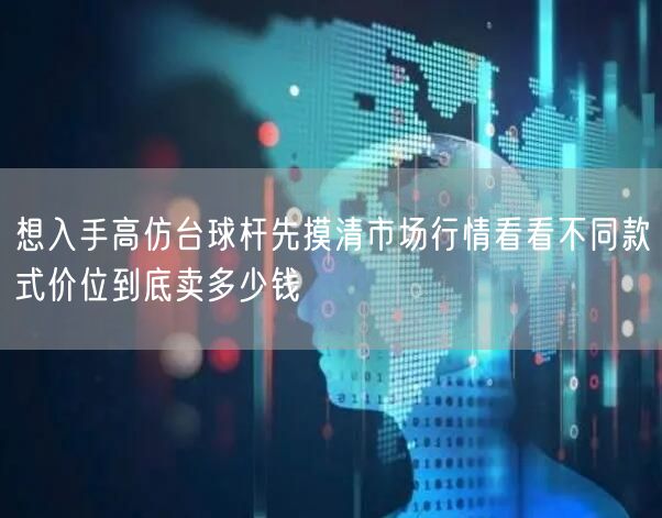 想入手高仿台球杆先摸清市场行情看看不同款式价位到底卖多少钱