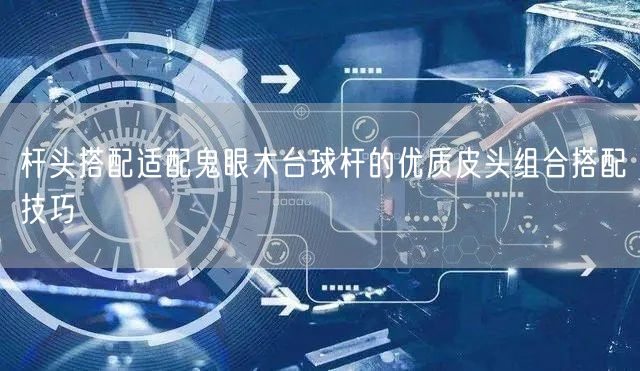 杆头搭配适配鬼眼木台球杆的优质皮头组合搭配技巧